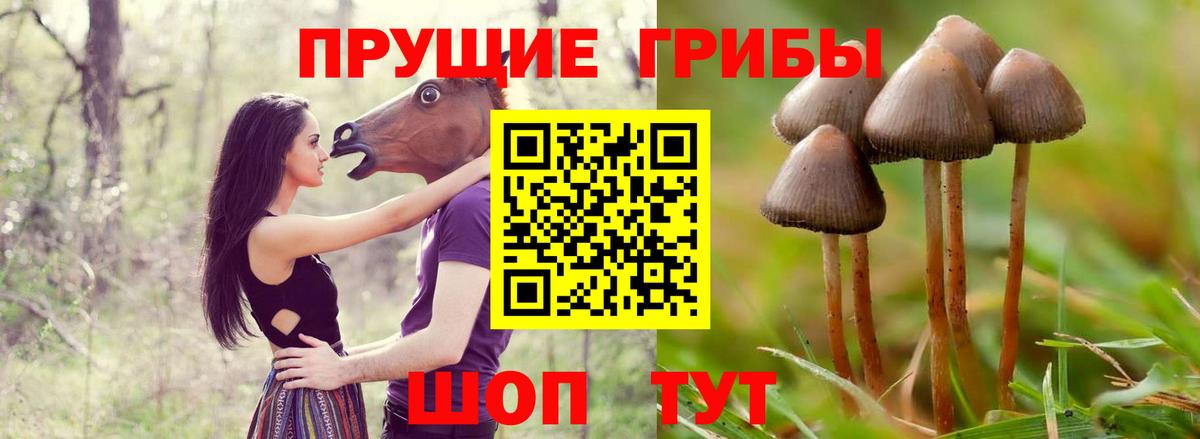 Мичуринск  Галлюциногенные грибы мицелий  Вход с VPN 